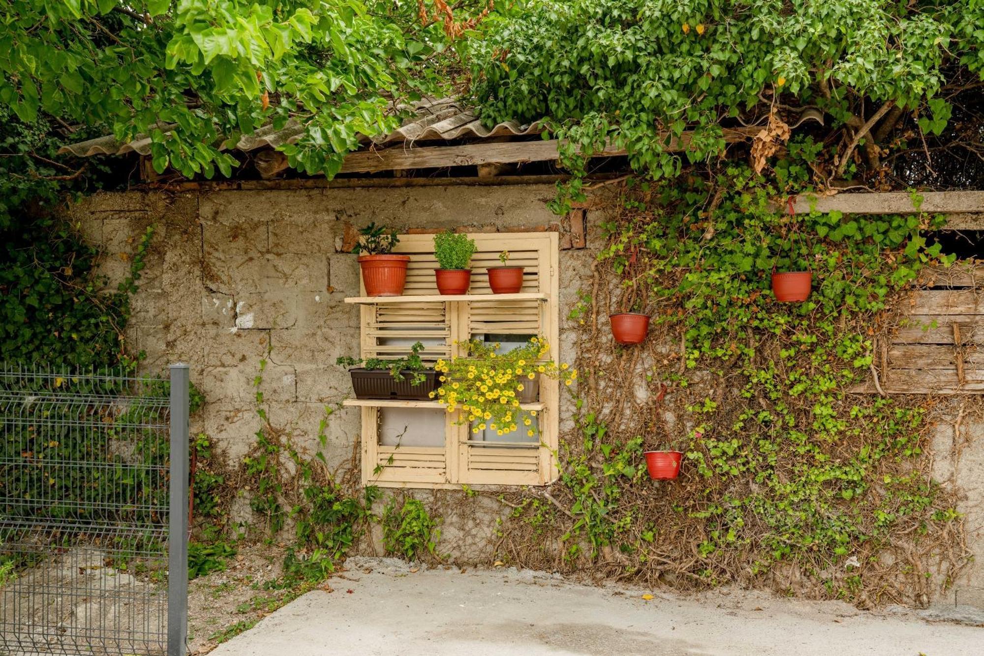 Apartments Milivojevic Bar Dış mekan fotoğraf